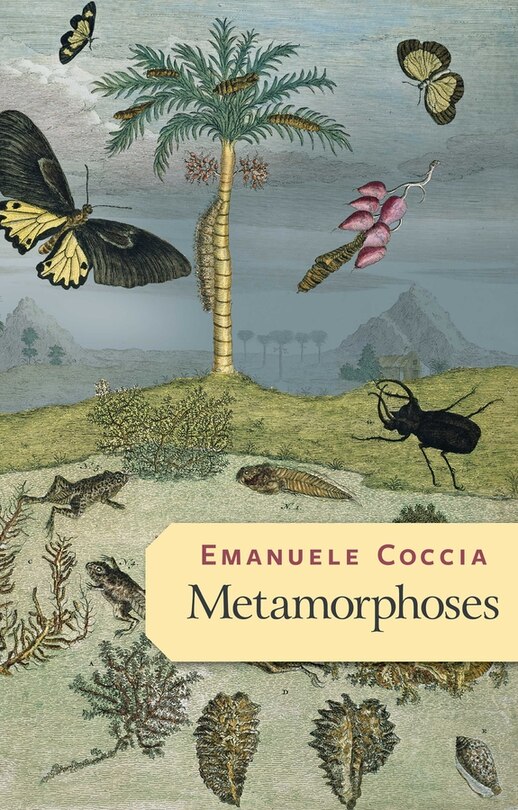 Front cover_Metamorphoses