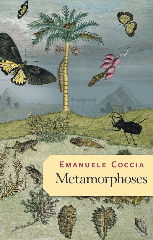 Front cover_Metamorphoses