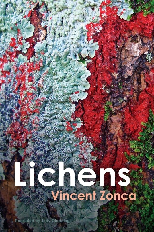 Couverture_Lichens