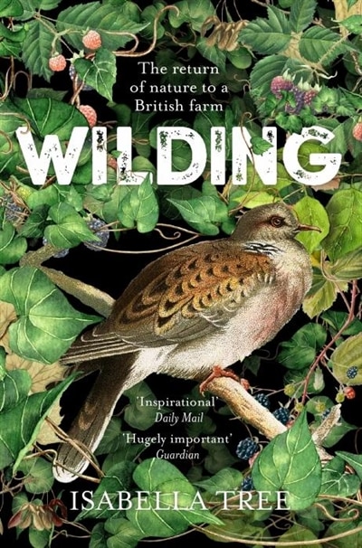 Front cover_Wilding