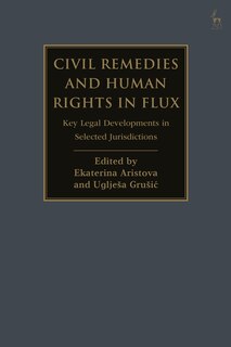 Front cover_Civil Remedies And Human Rights In Flux