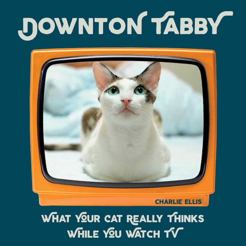 Front cover_Downton Tabby