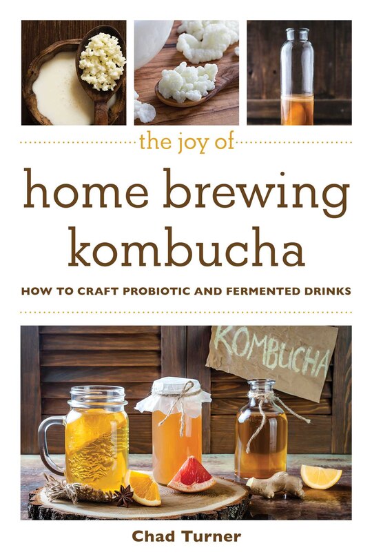 Front cover_The Joy of Home Brewing Kombucha