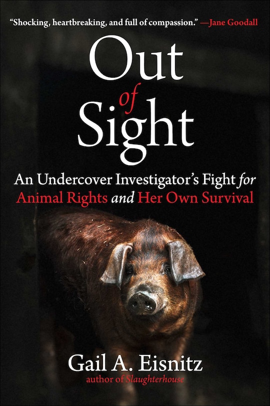 Front cover_Out of Sight