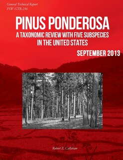Couverture_Pinus ponderosa