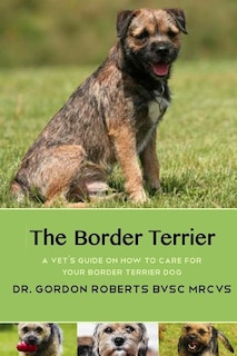 The Border Terrier: A vet's guide on how to care for your Border Terrier dog