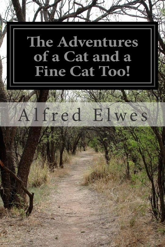 Front cover_The Adventures of a Cat and a Fine Cat Too!