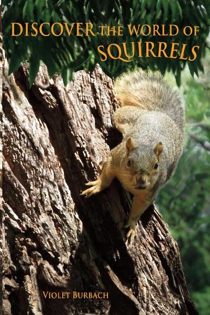 Front cover_Discover the World of Squirrels