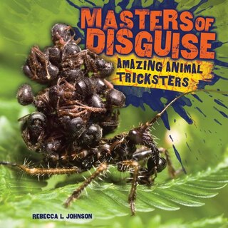 Front cover_Masters of Disguise