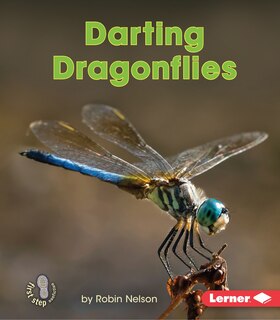Front cover_Darting Dragonflies