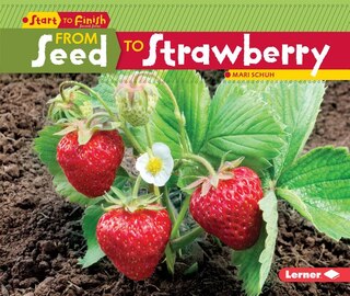 Front cover_From Seed to Strawberry