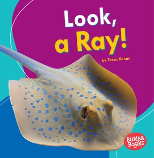 Couverture_Look, a Ray!