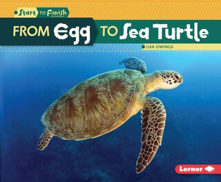 Front cover_From Egg to Sea Turtle