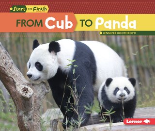 Front cover_From Cub to Panda