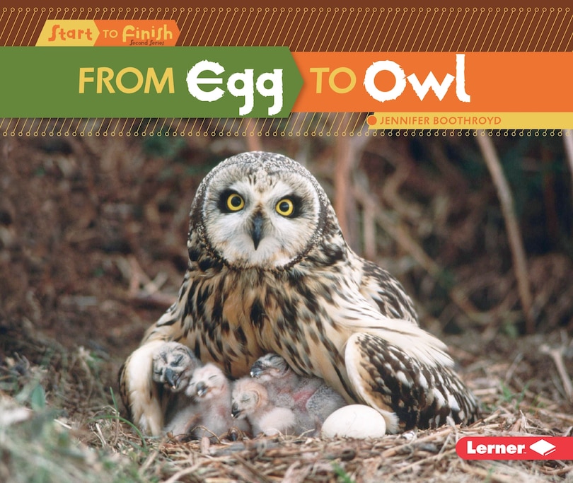 Front cover_From Egg to Owl