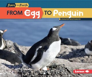 Front cover_From Egg to Penguin