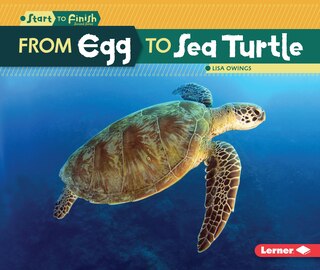 Front cover_From Egg to Sea Turtle