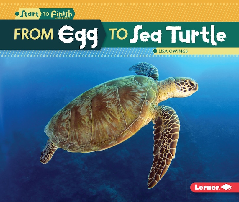 Front cover_From Egg to Sea Turtle