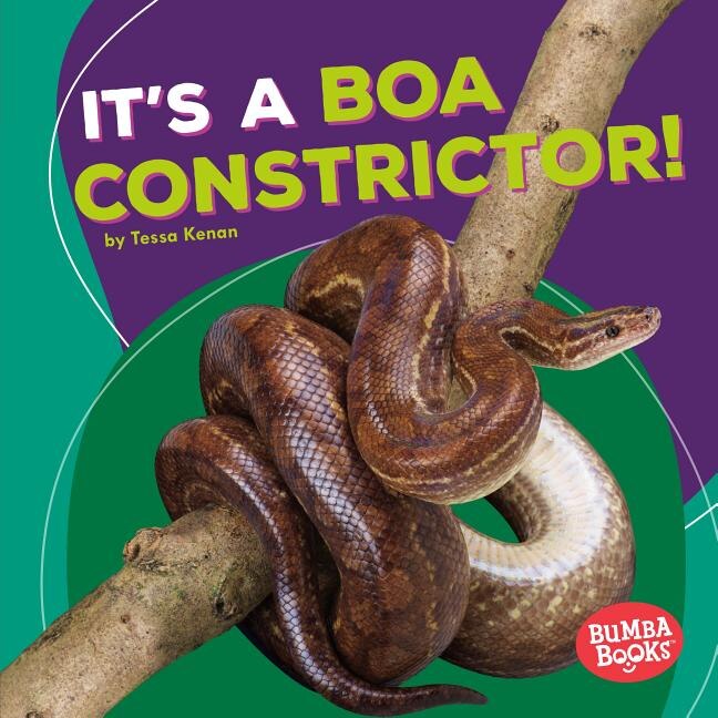 Couverture_It's a Boa Constrictor!