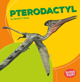Couverture_Pterodactyl
