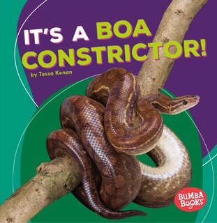 Front cover_It's a Boa Constrictor!