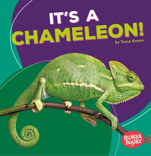 Front cover_It's a Chameleon!