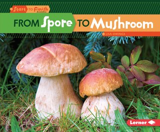 Front cover_From Spore to Mushroom