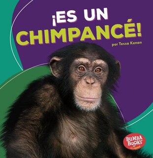 Front cover_¡Es Un Chimpancé! (It's a Chimpanzee!)