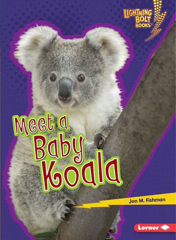 Front cover_Meet a Baby Koala