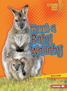 Front cover_Meet a Baby Wallaby