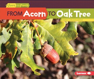 Front cover_From Acorn to Oak Tree