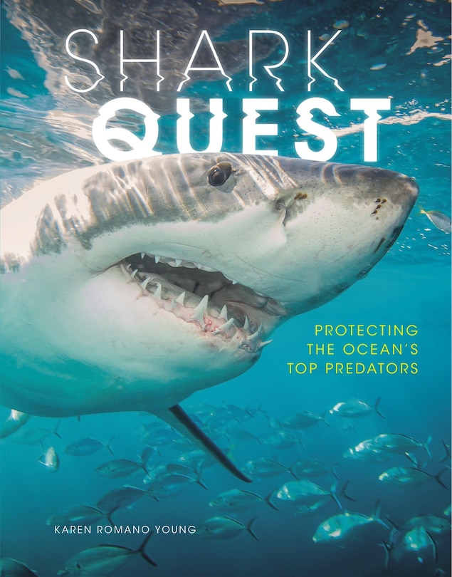 Front cover_Shark Quest