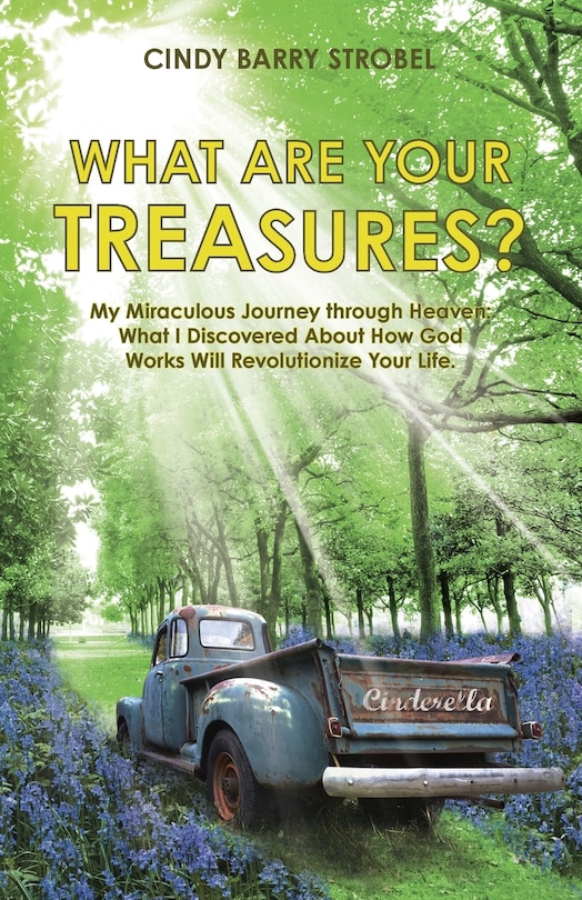 Front cover_What Are Your Treasures?