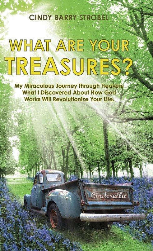 Couverture_What Are Your Treasures?