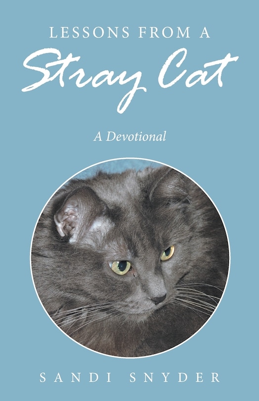 Couverture_Lessons from a Stray Cat