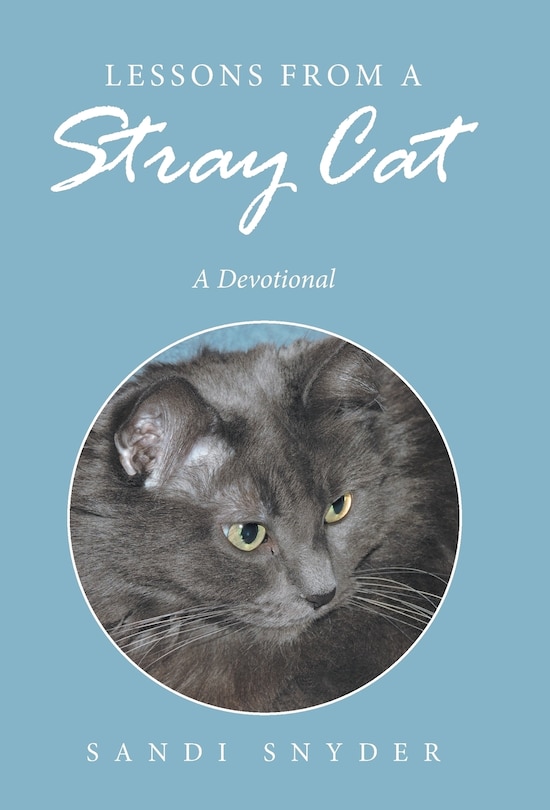 Couverture_Lessons from a Stray Cat