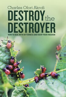 Couverture_Destroy the Destroyer