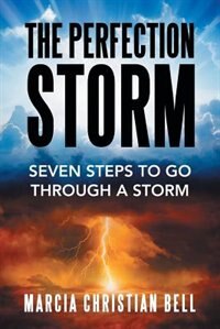 Front cover_The Perfection Storm