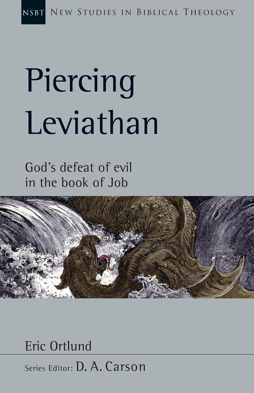 Couverture_Piercing Leviathan