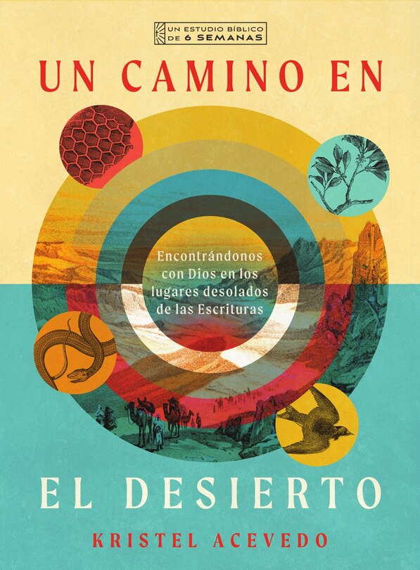 Front cover_Un camino en el desierto