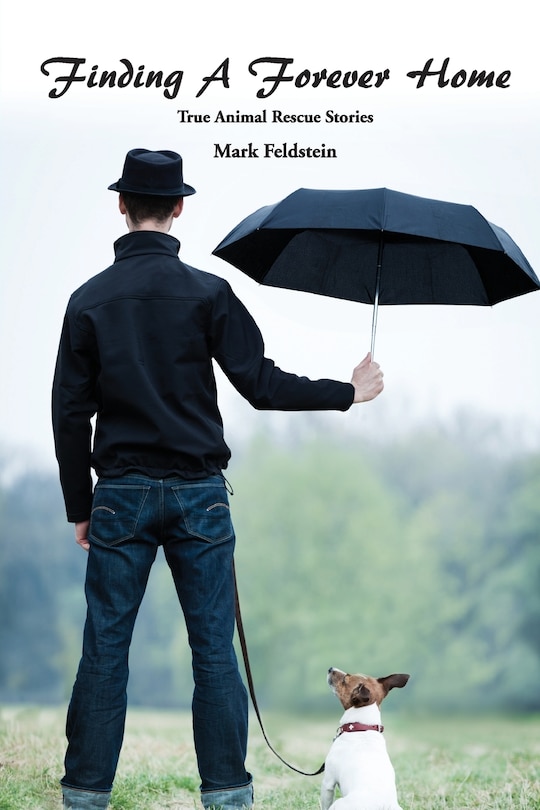 Front cover_Finding a Forever Home