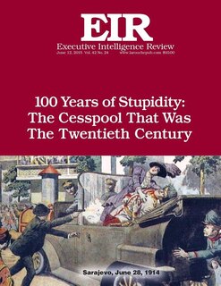 Front cover_100 Years of Stupidity