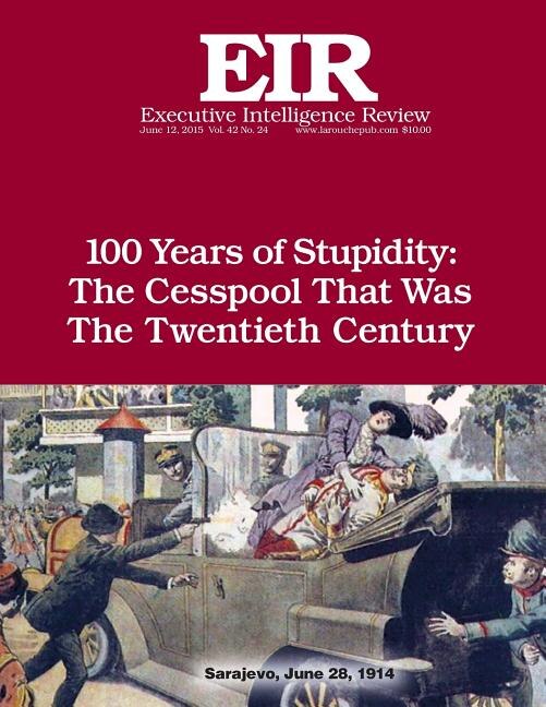 Front cover_100 Years of Stupidity