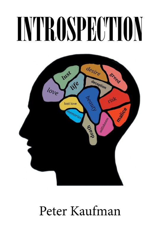 Front cover_Introspection