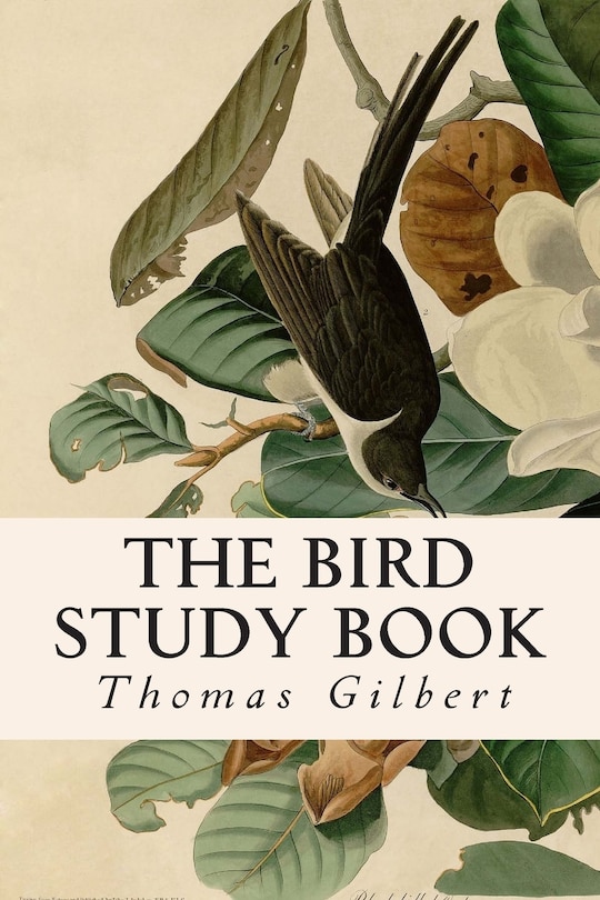 Front cover_The Bird Study Book