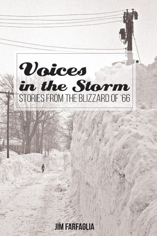 Front cover_Voices In The Storm