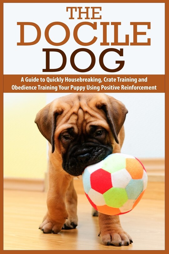 Front cover_The Docile Dog