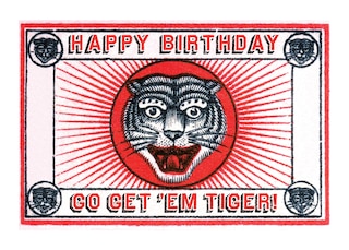 Front cover_Tiger Matchbox - Birthday Greeting Card