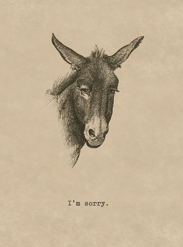 Sorry Donkey. 6 cards, individually bagged with envelopes
