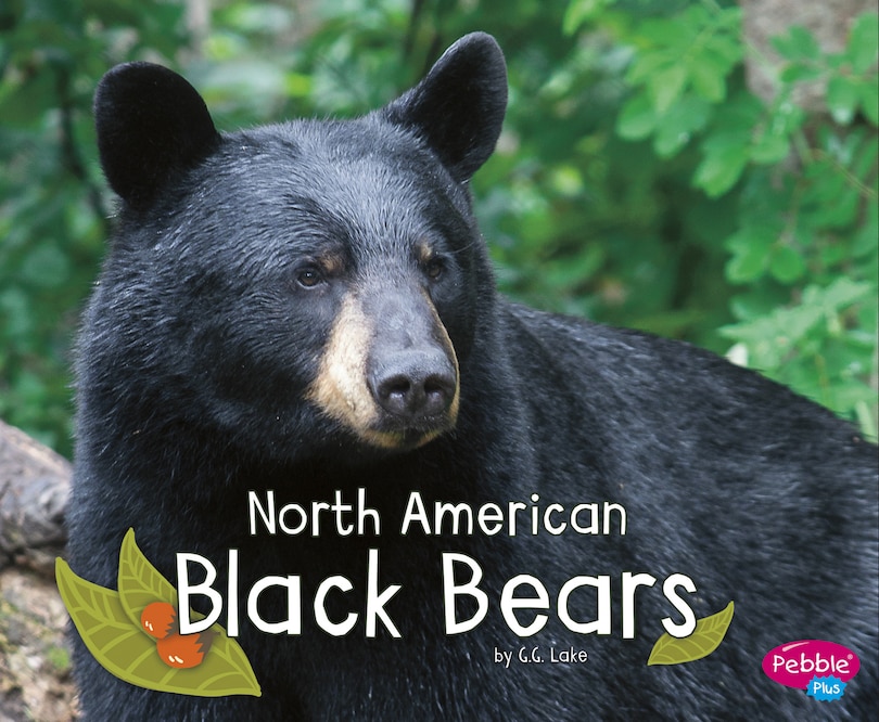 Couverture_North American Black Bears